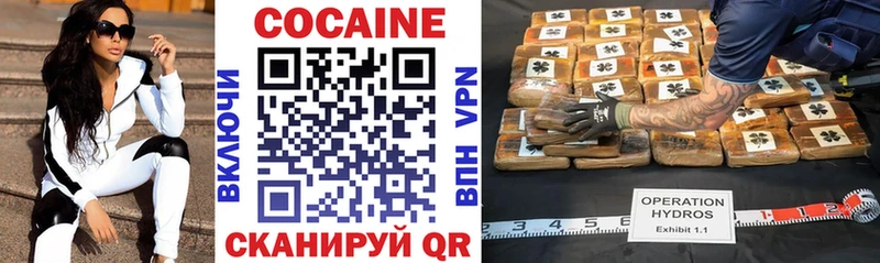 Купить  Барыш  COCAIN Fish Scale 