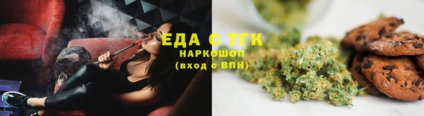 СК Алексин