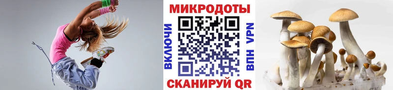 Галлюциногенные грибы Magic Shrooms  Купить  Барыш 